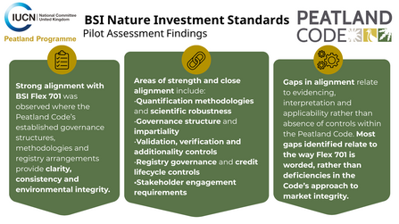 BSI Assessment Summary