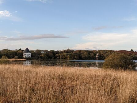 LLyn LLech Owain Country Park by National Peatland Action Program