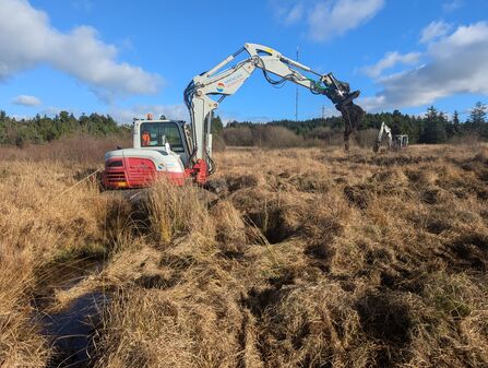 LLyn LLech Owain Country Park by National Peatland Action Program