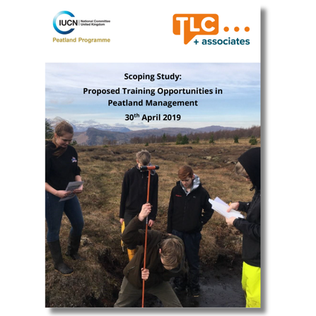 Group of young people on a peatland. One of them is using a long metal rod to measure peat depth.