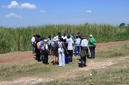 Group of people stood on a path next to tall vegetation.