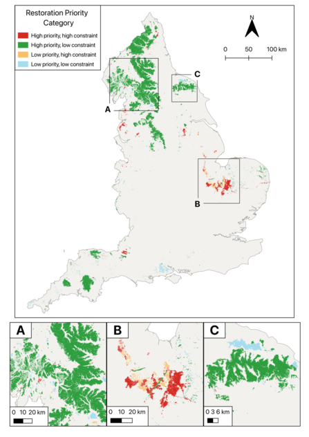 Map of England showing areas of peatland categorised according to restoration priority and level of constraint.