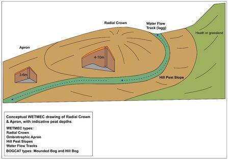 Diagram of peat layer in a raised dome surrounded by a curving water flow at the base of the dome.