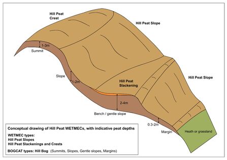 Diagram showing layer of peat on a slope transitioning into heath or grassland.