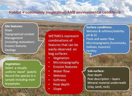Slide with a background image of a blanket bog landscape. The text explains WETMECS with surrounding boxes for site features, vegetation, surface conditions and sub-surface.