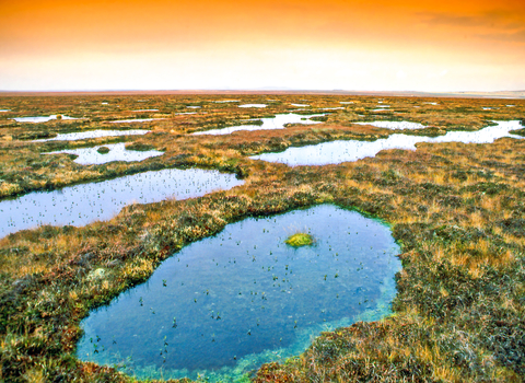 Bog pools at Blar na Faioleag Caithness