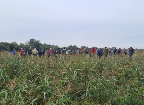 People lined up at Wicken Fen