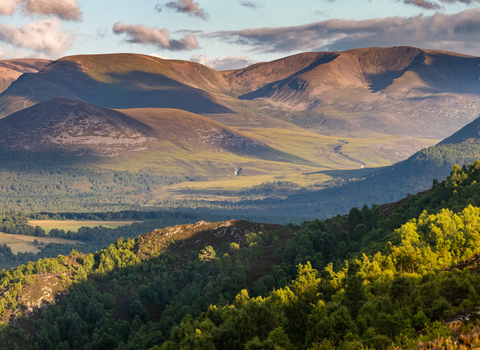 A view of mountains, valleys and trees in the sunshine