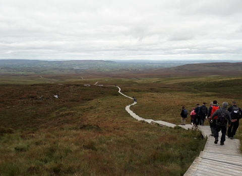 People walking down a boardwalk at the 2019 conference Cuilcagh Field Visit