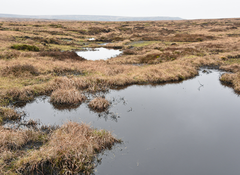 Heather bale dam at RSPB Dove Stone