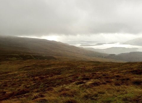 Peatland landscape with grey skies