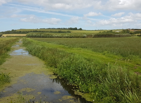 A drain runs through a green landscape with hills in the background