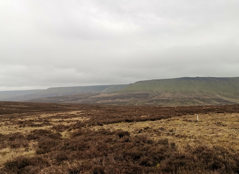 Featherbed Moss peatland