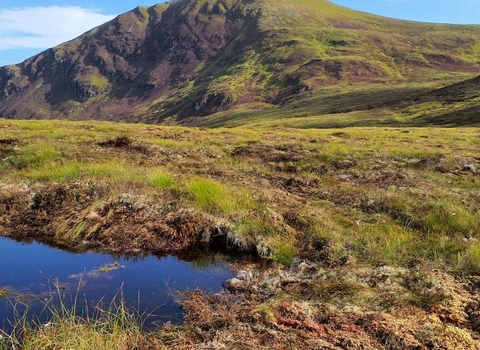 Bog pool at Ben Wyvis. A NatureScot Peatland ACTION restoration site.