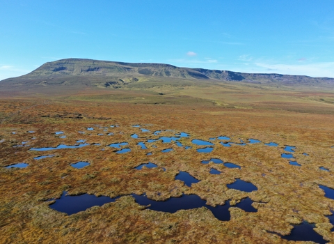 Bog pools in the foreground with mountain in the background