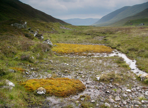 Percolation spring and surface seepage spring Glen Roy.  Credit Richard Lindsay.