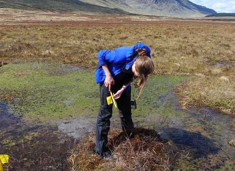Person using monitoring equipment on a bog