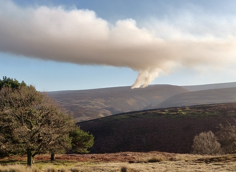 Smoke rising up from a fire on a hillside