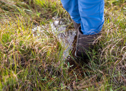A child's feet in a pair of wellies, stood in a small peatland pool.