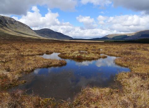 Peatland pool surrounded by mountains. Large clouds in the sky are reflected in the pool.
