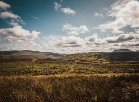 Blanket bog landscape with undulating hills covered in grasses and rushes and a mountain in the background.